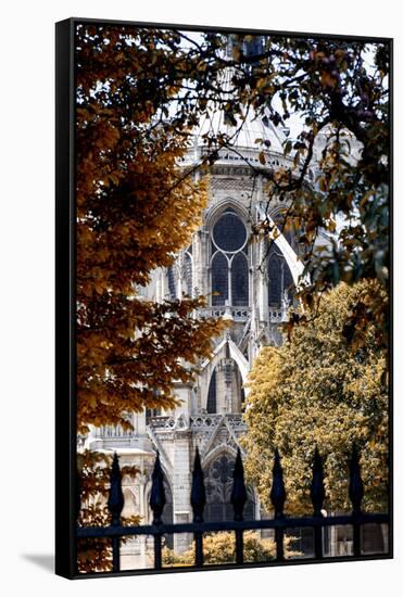 Paris Focus - Notre Dame Cathedral in Autumn-Philippe Hugonnard-Framed Stretched Canvas