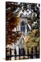 Paris Focus - Notre Dame Cathedral in Autumn-Philippe Hugonnard-Stretched Canvas