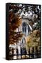 Paris Focus - Notre Dame Cathedral in Autumn-Philippe Hugonnard-Framed Stretched Canvas