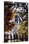 Paris Focus - Notre Dame Cathedral in Autumn-Philippe Hugonnard-Stretched Canvas