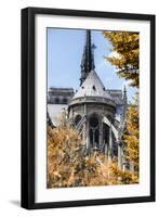 Paris Focus - Notre Dame Cathedral in Autumn-Philippe Hugonnard-Framed Photographic Print