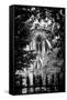 Paris Focus - Notre Dame Cathedral-Philippe Hugonnard-Framed Stretched Canvas
