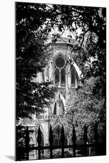 Paris Focus - Notre Dame Cathedral-Philippe Hugonnard-Mounted Photographic Print