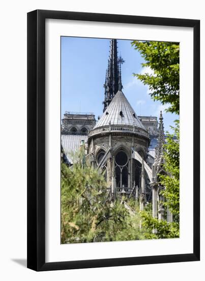 Paris Focus - Notre Dame Cathedral-Philippe Hugonnard-Framed Photographic Print