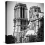 Paris Focus - Notre Dame Cathedral-Philippe Hugonnard-Stretched Canvas