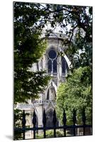 Paris Focus - Notre Dame Cathedral-Philippe Hugonnard-Mounted Photographic Print