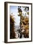 Paris Focus - Paris Montmartre in Autumn-Philippe Hugonnard-Framed Photographic Print