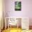 Paris Focus - Parisian Garden Chair-Philippe Hugonnard-Mounted Premium Photographic Print displayed on a wall