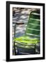 Paris Focus - Parisian Garden Chair-Philippe Hugonnard-Framed Photographic Print