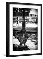 Paris Focus - Public Bench-Philippe Hugonnard-Framed Photographic Print