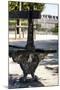 Paris Focus - Public Bench-Philippe Hugonnard-Mounted Photographic Print