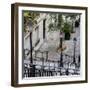 Paris Focus - Stairs of Montmartre-Philippe Hugonnard-Framed Photographic Print