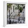 Paris Focus - Stairs of Montmartre-Philippe Hugonnard-Framed Photographic Print