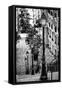 Paris Focus - Stairs of Montmartre-Philippe Hugonnard-Framed Stretched Canvas