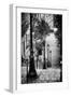 Paris Focus - Stairs of Montmartre-Philippe Hugonnard-Framed Photographic Print