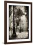 Paris Focus - Stairs of Montmartre-Philippe Hugonnard-Framed Photographic Print