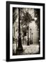 Paris Focus - Stairs of Montmartre-Philippe Hugonnard-Framed Photographic Print