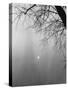 Paris Fog with Eiffel Tower Faintly Seen-Thomas D^ Mcavoy-Stretched Canvas