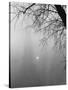 Paris Fog with Eiffel Tower Faintly Seen-Thomas D^ Mcavoy-Stretched Canvas