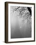 Paris Fog with Eiffel Tower Faintly Seen-Thomas D^ Mcavoy-Framed Premium Photographic Print