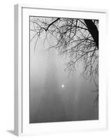 Paris Fog with Eiffel Tower Faintly Seen-Thomas D^ Mcavoy-Framed Photographic Print