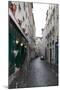 Paris France Alley 2 Art Print Poster-null-Mounted Poster