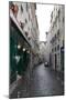 Paris France Alley 2 Art Print Poster-null-Mounted Poster