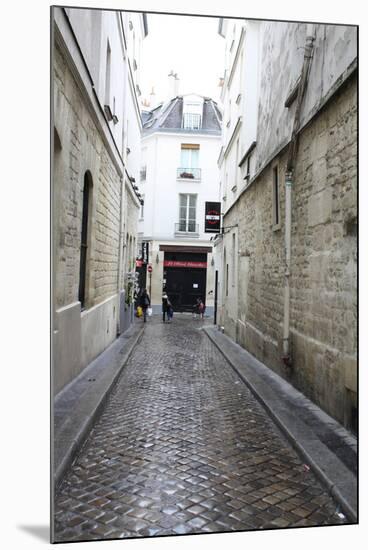 Paris France Alley Art Print Poster-null-Mounted Poster