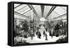 Paris, France - Champs-Elysees, Winter Garden-null-Framed Stretched Canvas