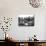 Paris, France - Hotel de Cluny-null-Mounted Photographic Print displayed on a wall