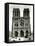 Paris, France - Notre-Dame-null-Framed Stretched Canvas