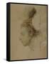 Paris, France, Portrait of Frederic Francois Chopin-null-Framed Stretched Canvas