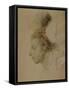 Paris, France, Portrait of Frederic Francois Chopin-null-Framed Stretched Canvas