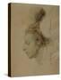 Paris, France, Portrait of Frederic Francois Chopin-null-Stretched Canvas