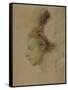 Paris, France, Portrait of Frederic Francois Chopin-null-Framed Stretched Canvas