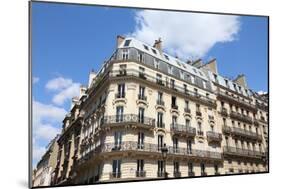 Paris, France-Tupungato-Mounted Photographic Print