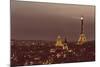 Paris from Notre Dame-Shelley Lake-Mounted Photographic Print