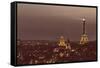 Paris from Notre Dame-Shelley Lake-Framed Stretched Canvas