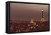 Paris from Notre Dame-Shelley Lake-Framed Stretched Canvas