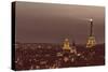Paris from Notre Dame-Shelley Lake-Stretched Canvas