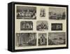 Paris Illustrated-null-Framed Stretched Canvas