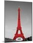 Paris in the Day in Red Border-Emily Navas-Mounted Art Print