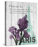 Paris Iris-Alicia Soave-Stretched Canvas