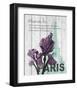 Paris Iris-Alicia Soave-Framed Art Print