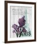 Paris Iris-Alicia Soave-Framed Art Print