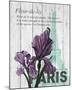 Paris Iris-Alicia Soave-Mounted Art Print