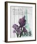 Paris Iris-Alicia Soave-Framed Art Print