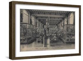 Paris, Jardin Des Plantes-null-Framed Giclee Print