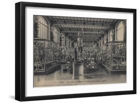 Paris, Jardin Des Plantes-null-Framed Giclee Print