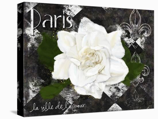 Paris La Vill De L’amour-Tina Lavoie-Stretched Canvas